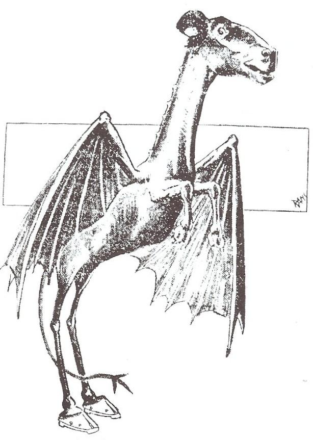 The Jersey Devil — Pine Barrens, NJ (1735, 1909)