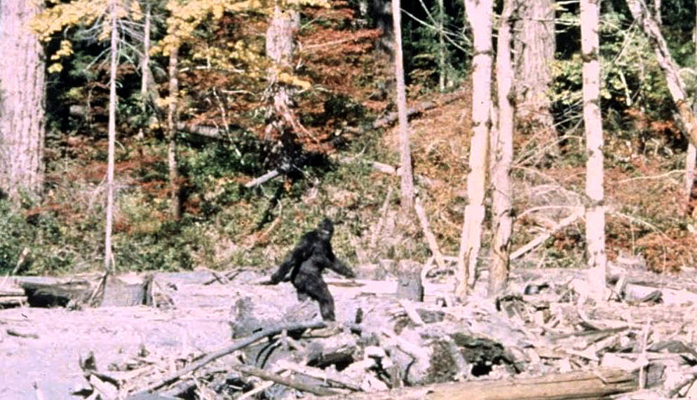 Bigfoot — Bluff Creek, CA (1967)