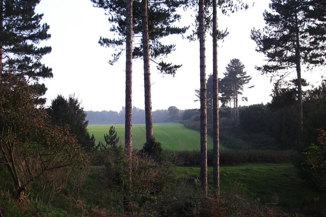 The Rendlesham Forest Incident — Suffolk, England (1980)